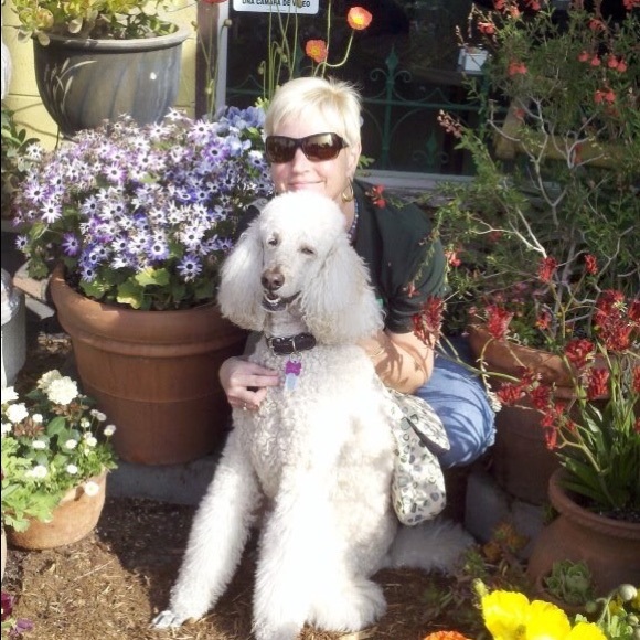 Meet your Posher, Kitty - Picture 1 of 3